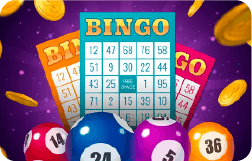 Bingo-8